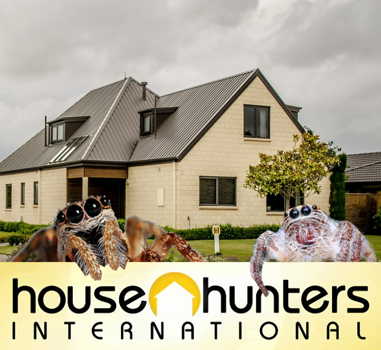 2 Spiders in front of a house with a sign that says "House Hunters International"