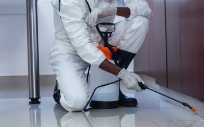 How Often Should You Pest Control Your Home