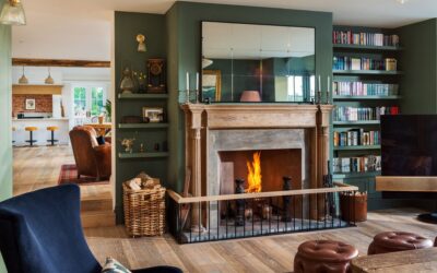 Pest Control Tips for Winter