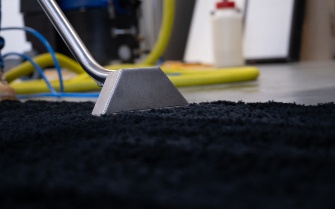carpet cleaning north shore