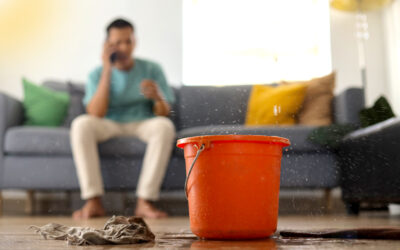 What to Expect from an Emergency Pest Control or Flood Recovery Callout
